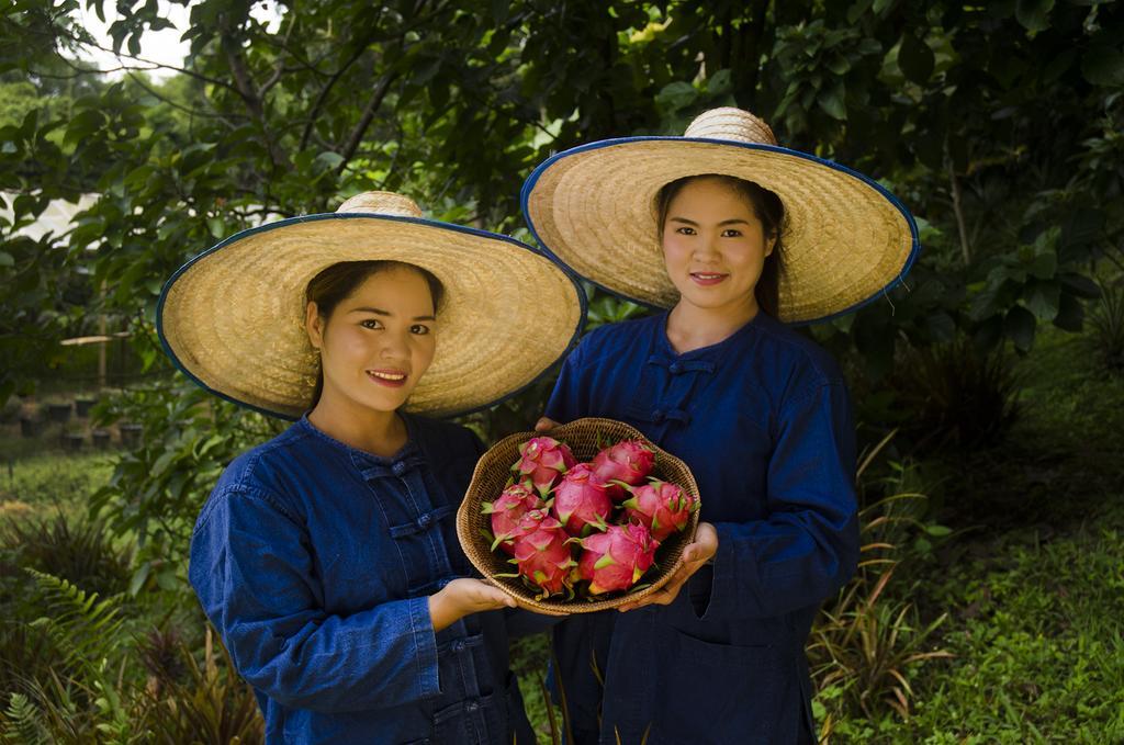 Pa Sak Tong Otel Chiang Rai Dış mekan fotoğraf