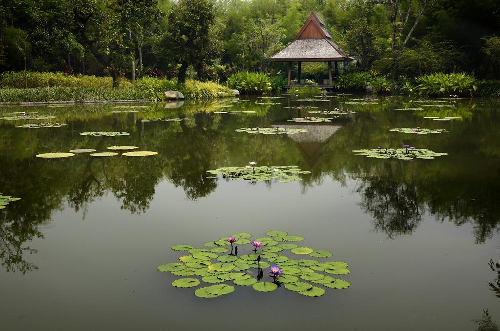 Pa Sak Tong Otel Chiang Rai Dış mekan fotoğraf