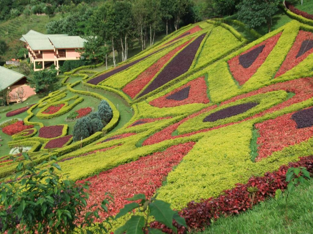 Pa Sak Tong Otel Chiang Rai Dış mekan fotoğraf